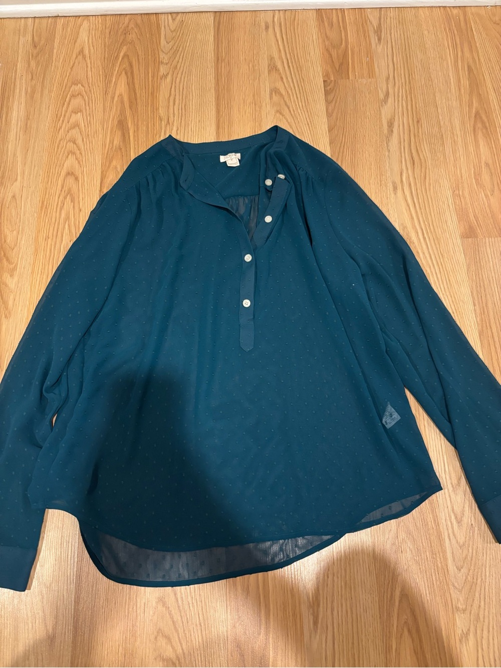 J. Crew Teal Sheer Long-Sleeve Dot-Textured Henley Blouse